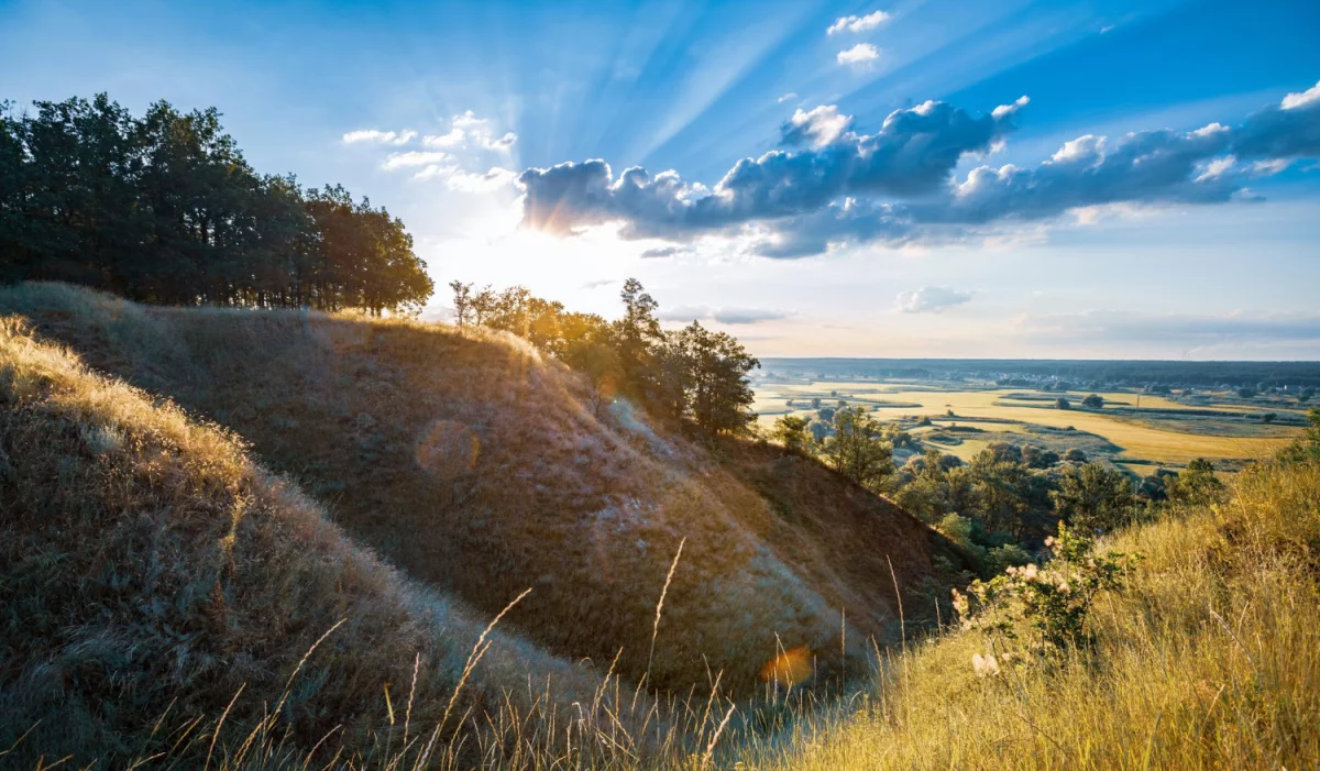 Jak dobrać kamienie do ogrodu: granit, bazalt, piaskowiec — rodzaje, kolory, zastosowania (ścieżki, rabaty) i wskazówki, by nie pobrudzić i nie rozsypać.